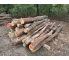 Polter 2026-10-012: Laubenergieholz (Eiche) - 3,0 Fm (Kelsterbach)