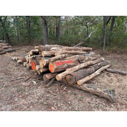 Polter 2026-10-013: Laubenergieholz (Eiche) - 4,5 Fm (Kelsterbach)