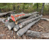 Polter 2026-10-018: Laubenergieholz (Linde) - 3,2 Fm (Kelsterbach)