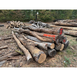 Polter 2026-10-024: Laubenergieholz (Eiche) - 3,4 Fm (Kelsterbach)
