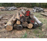 Polter 2026-10-024: Laubenergieholz (Eiche) - 3,4 Fm (Kelsterbach)