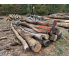 Polter 2026-10-024: Laubenergieholz (Eiche) - 3,4 Fm (Kelsterbach)