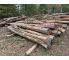 Polter 2026-10-027: Laubenergieholz (Robinie) - 3,2 Fm (Kelsterbach)