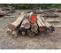 Polter 2026-10-028: Laubenergieholz (Robinie) - 2,8 Fm (Kelsterbach)
