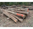 Polter 2026-10-028: Laubenergieholz (Robinie) - 2,8 Fm (Kelsterbach)