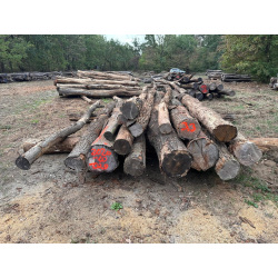Polter 2026-10-029: Laubenergieholz (Eiche) - 3,3 Fm (Kelsterbach)