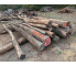 Polter 2026-10-029: Laubenergieholz (Eiche) - 3,3 Fm (Kelsterbach)