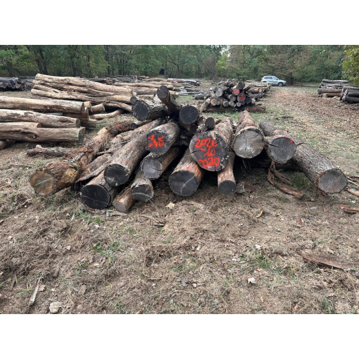 Polter 2026-10-030: Laubenergieholz (Eiche) - 3,5 Fm (Kelsterbach)