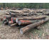 Polter 2026-10-030: Laubenergieholz (Eiche) - 3,5 Fm (Kelsterbach)