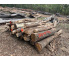 Polter 2026-10-032: Laubenergieholz (Eiche) - 3,0 Fm (Kelsterbach)