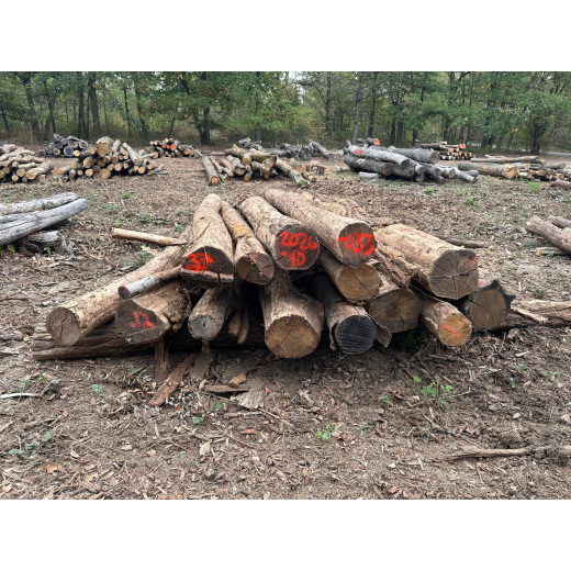 Polter 2026-10-033: Laubenergieholz (Eiche) - 3,7 Fm (Kelsterbach)