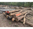 Polter 2026-10-033: Laubenergieholz (Eiche) - 3,7 Fm (Kelsterbach)