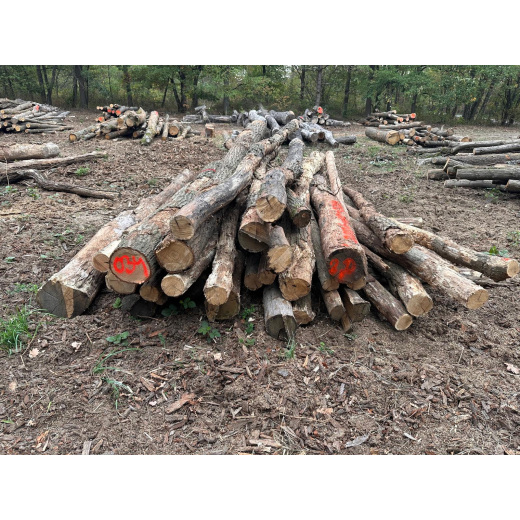 Polter 2026-10-034: Laubenergieholz (Eiche) - 2,0 Fm (Kelsterbach)