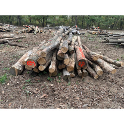 Polter 2026-10-034: Laubenergieholz (Eiche) - 2,0 Fm (Kelsterbach)