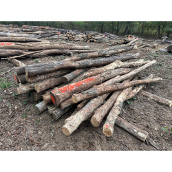 Polter 2026-10-034: Laubenergieholz (Eiche) - 2,0 Fm (Kelsterbach)