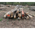 Polter 2026-10-034: Laubenergieholz (Eiche) - 2,0 Fm (Kelsterbach)