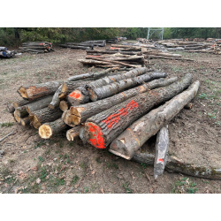 Polter 2026-10-035: Laubenergieholz (Eiche) - 2,0 Fm (Kelsterbach)