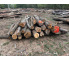 Polter 2026-10-035: Laubenergieholz (Eiche) - 2,0 Fm (Kelsterbach)