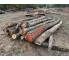 Polter 2026-10-035: Laubenergieholz (Eiche) - 2,0 Fm (Kelsterbach)